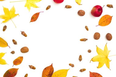 Sonbahar kare kompozisyonu. Sonbahar yaprakları, elma, wh üzerinde çam kozalağı