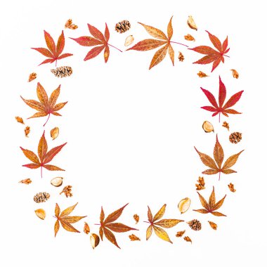 Sonbahar kırmızı yaprakları, kurutulmuş yabani çiçekler ve Şükran çerçeve 