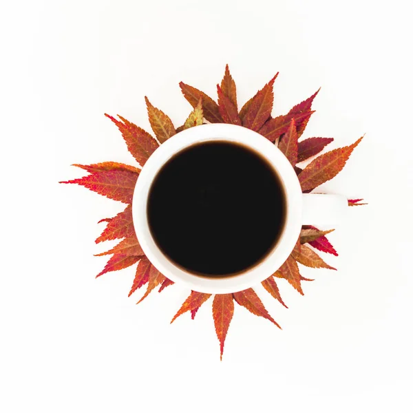 Taza de café con hojas de otoño sobre fondo blanco. Puesta plana — Foto de Stock