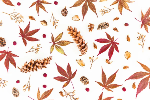 Herbstmuster mit Herbstblättern, getrockneten Wildblumen und Kiefern — Stockfoto