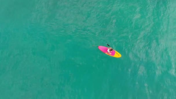 Vista Aérea Mujer Stand Paddle Board Océano Azul — Vídeo de stock