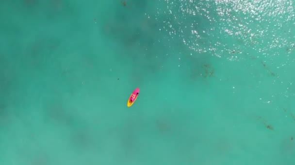 在蓝色海洋中站立桨板上的妇女的鸟瞰图 — 图库视频影像