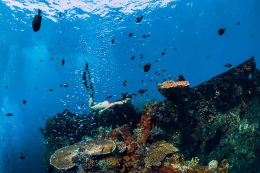 Kadın serbest dalgıç enkaz gemisinde yüzgeçleri ile süzülür. Bl serbest dalış