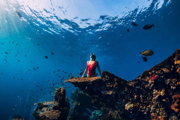 Kvinnan Freedive glider med fenor vid vrak skepp. Fridykning i bl — Stockfoto