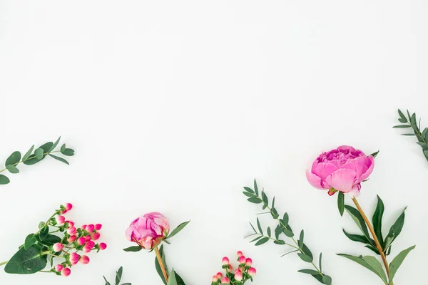 Květinové složení s růžovými květy a eukalypt na bílém BAC — Stock fotografie