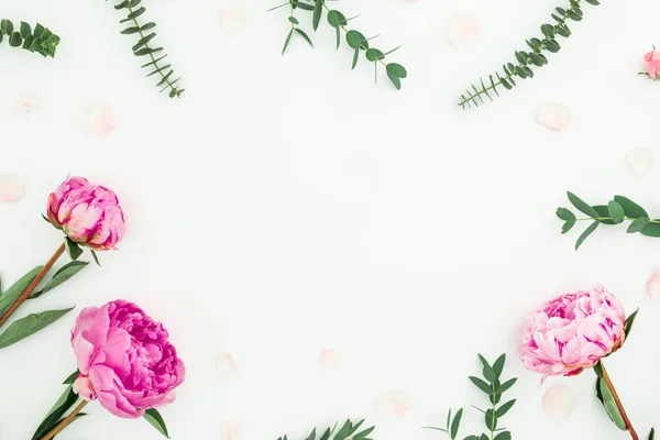Цветочный состав с розовыми цветами и эвкалиптом на белом набережной — стоковое фото
