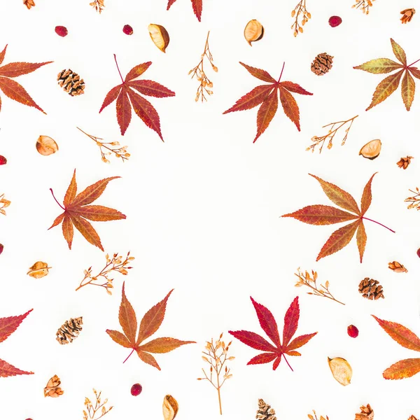 Herbstmuster mit Herbstblättern, getrockneten Blüten und Tannenzapfen o — Stockfoto