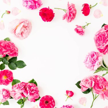 Beyaz arka plan üzerinde pembe çiçekler çerçeve. Çiçek yaşam tarzı comp
