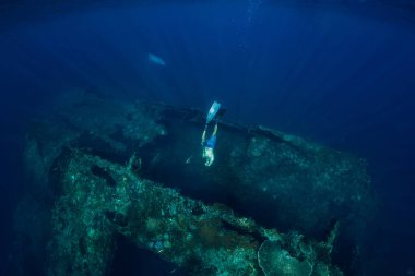 Serbest dalgıç adam gemi enkazında su altında dalış. Okyanusta serbest dalış