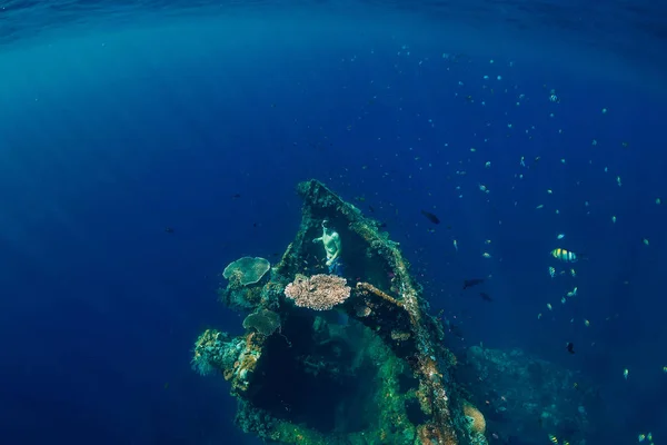 Un apneista si tuffa sott'acqua al naufragio. L'apnea nell'oceano — Foto Stock