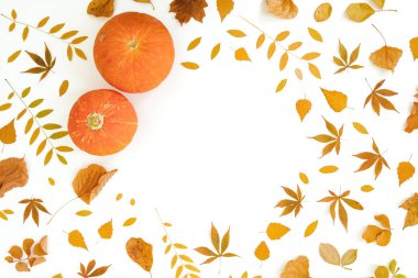 Sonbahar kompozisyonu. Beyaz arka planda sonbahar yaprakları ve kabaklar