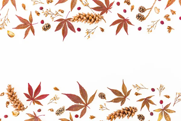 Sonbahar yaprakları, kurutulmuş yabani çiçekler ve çam kozalağı ile Sonbahar çerçeve