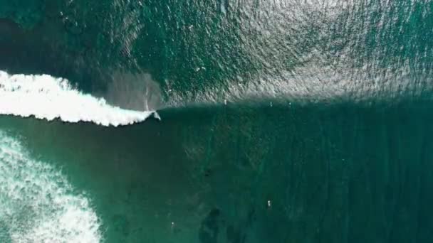 海洋和冲浪者海浪的鸟瞰图 冲浪和海浪 顶部视图 — 图库视频影像