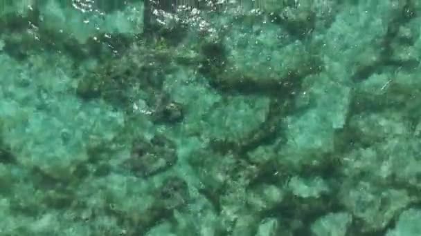 Tropical Ocean Water Sandy Beach Hawaii Aerial View — Stock Video