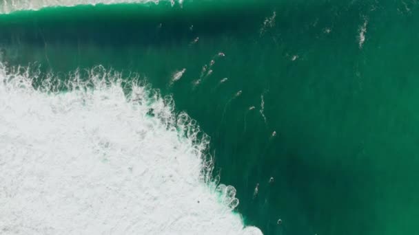 海とサーファーの波の航空写真 トップビュー サーフィンと波 — ストック動画
