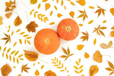 Sonbahar kompozisyonu. Beyaz backgr üzerine kuru yaprakları ve kabakları düş