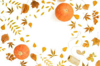 Sonbahar kare kompozisyonu. Beyaz sırt üzerinde Sonbahar yaprakları ve kabaklar