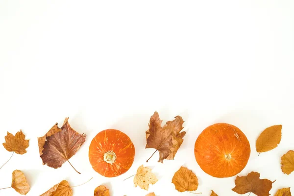 Composición del marco de otoño. Hojas de otoño y calabazas en la espalda blanca — Foto de Stock