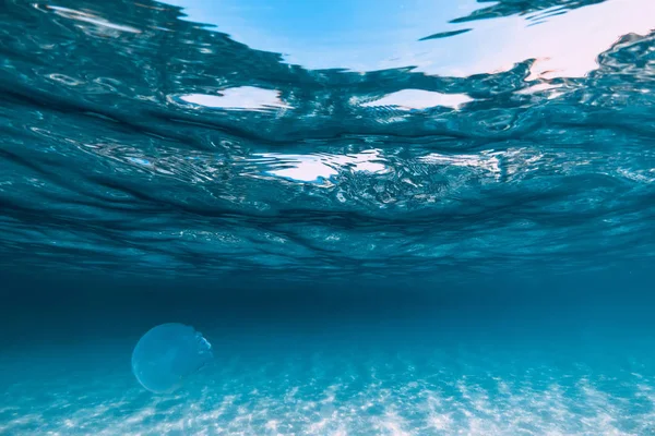 Méduses glisse sous l'eau dans l'océan bleu avec fond sablonneux — Photo