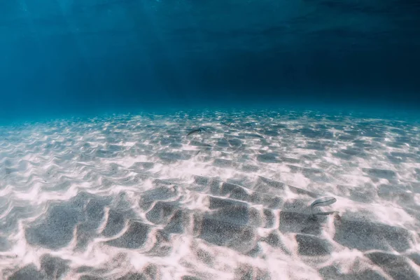 夏威夷水下有沙底的热带蓝色海洋 — 图库照片
