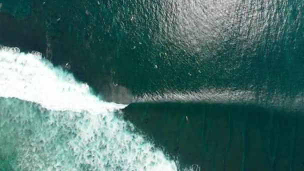 Vue Aérienne Avec Des Surfeurs Une Vague Tonneaux Dans Océan — Video