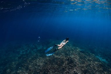 Yüzgeçli kadın serbest dalgıç okyanusta su altında süzülür