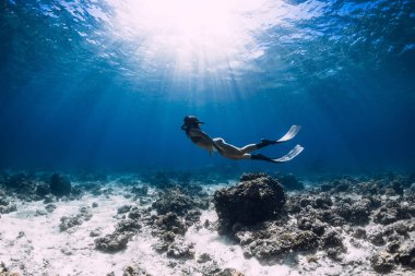 Mavi denizde mercanlar üzerinde süzülür yüzgeçleri ile ücretsiz dalgıç kadın.
