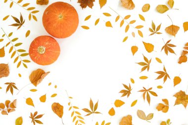 Beyaz arka plan üzerinde Sonbahar yaprakları ve kabaklar. Sonbahar, thanksgivi