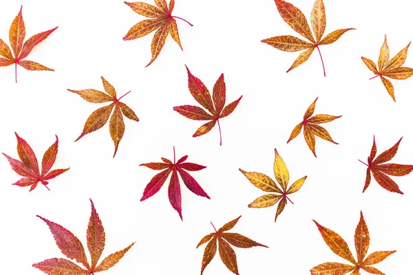 Herbstmuster aus Marmorblättern auf weißem Hintergrund. flach l — Stockfoto