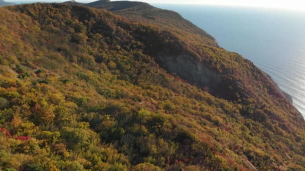 Aerial View Autumnal Forest Rocky Shore Cliff Sea — Stock Video