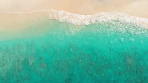 ターコイズブルーのクリスタルオーシャンを持つトロピカルビーチ 航空写真 — ストック動画