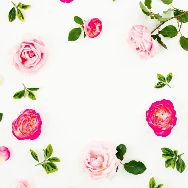 Flores de rosas aisladas sobre fondo blanco. Piso tendido, Vista superior . — Foto de Stock