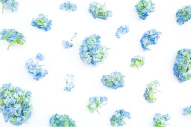 Beyaz arka plan üzerinde ortanca çiçek Çiçek desen. Yaz 