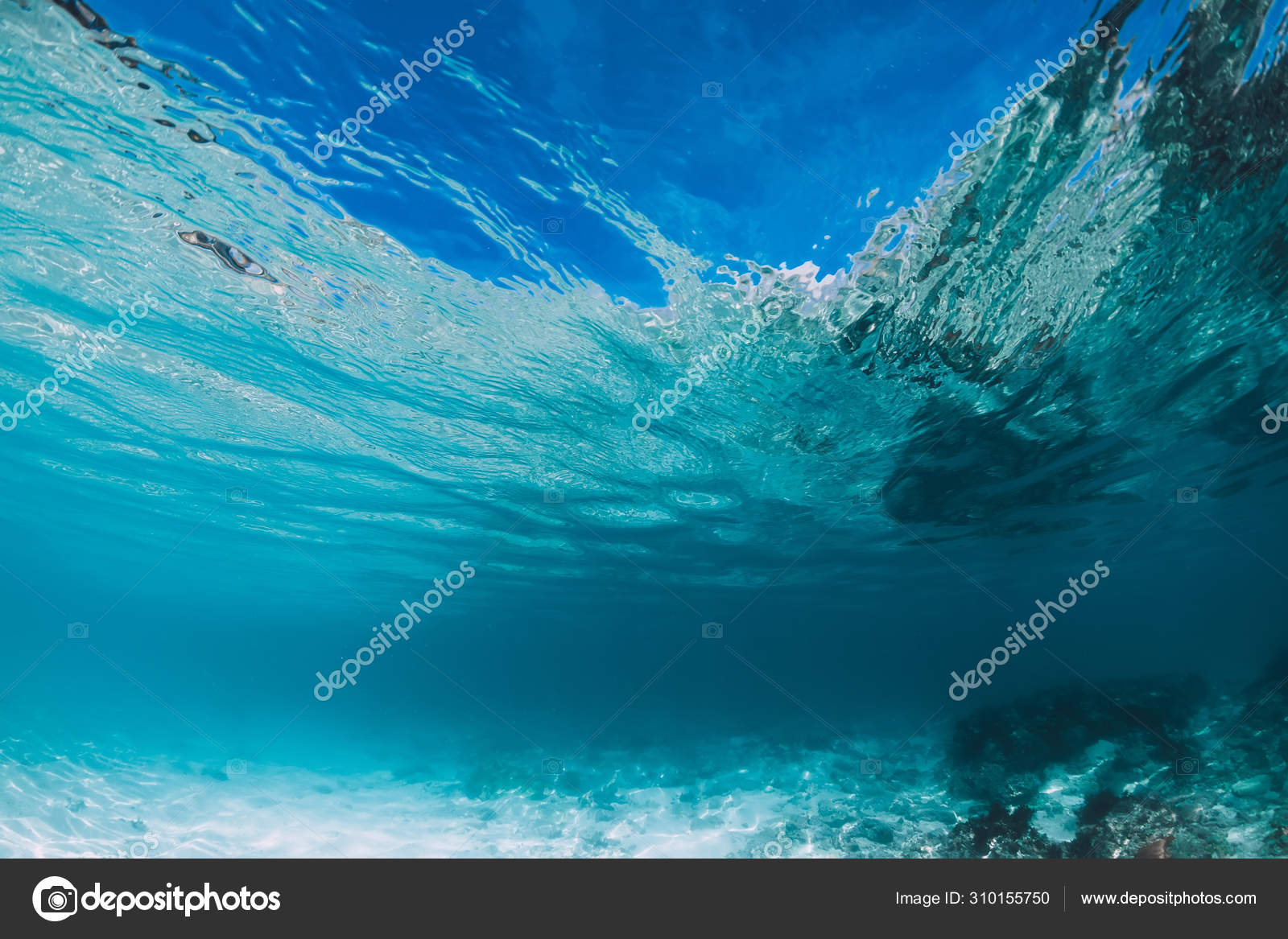 深海写真素材 ロイヤリティフリー深海画像 Depositphotos 深海写真素材 ロイヤリティフリー深海画像 Depositphotos