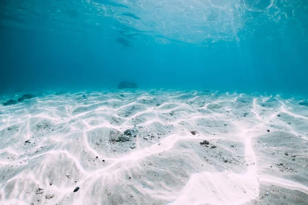 Oceano Blu Con Fondo Sabbia Bianca Sott Acqua Alle Hawaii — Foto Stock