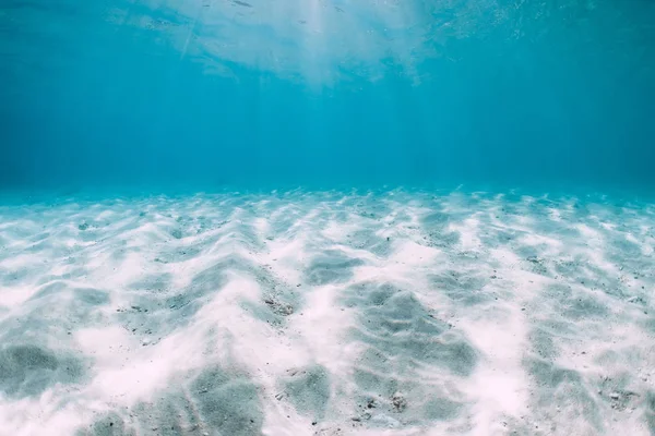 Oceano Blu Con Fondo Sabbia Bianca Sott Acqua Alle Hawaii — Foto Stock