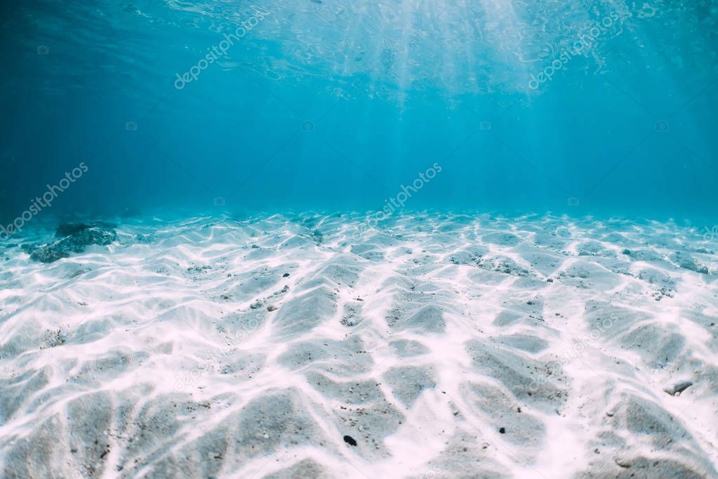 Blue ocean with white sand bottom underwater in Hawaii