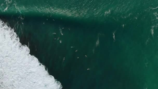 Widok Lotu Ptaka Duże Fale Niebieskie Fale Oceanie Surferach — Wideo stockowe