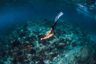 Su altında yüzgeçli kadın serbest dalgıç. Okyanusta serbest dalış