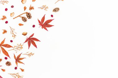 Sonbahar yaprakları, kurutulmuş yabani çiçekler ve çam kozalağı ile Sonbahar çerçeve