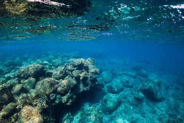 Tranquila escena submarina con espacio para copias. Mar transparente — Foto de Stock