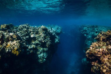 Şeffaf mavi okyanusta kayalar ve mercanlarla sualtı manzarası.