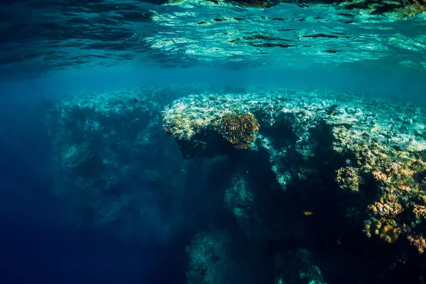 Underwater view with rocks and corals in transparent blue ocean.