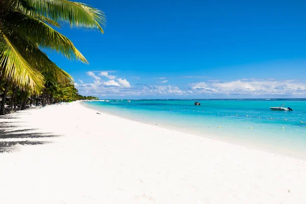 Tropikal manzara - mavi okyanuslu ve berrak gökyüzü olan güzel sahil — Stok fotoğraf