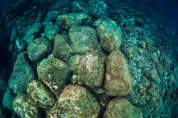 Ruhige Unterwasserszene mit Kopierraum. tropisch transparent — Stockfoto