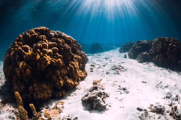 Oceano azul tropical com areia e corais subaquáticos no Havaí — Fotografia de Stock