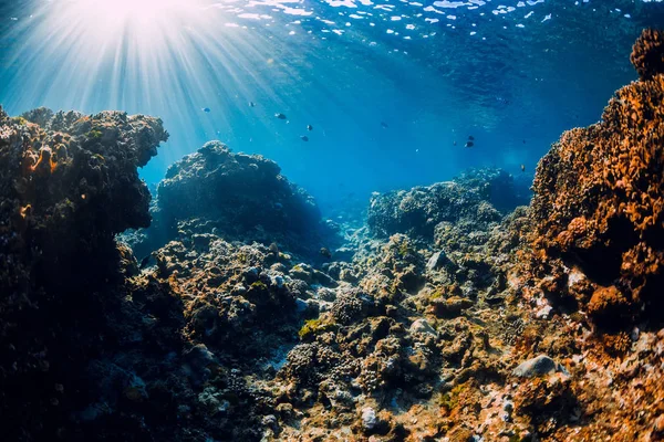Scène sous-marine avec coraux, rochers et rayons du soleil. Bleu tropical — Photo