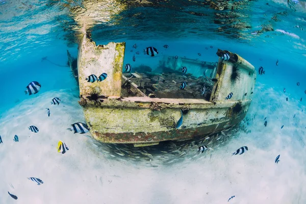 Oceano tropicale con relitto di barca sul fondo sabbioso e scuola di — Foto Stock