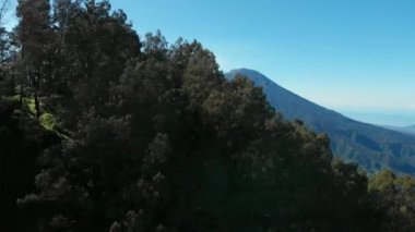 Bali 'deki Agung volkanı ile dağ ormanının hava manzarası.