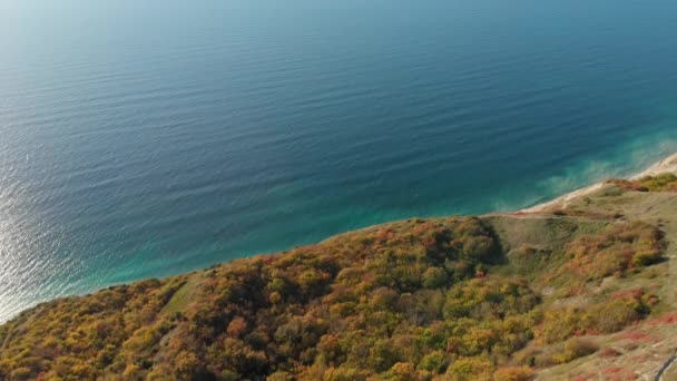 Vista Aérea Del Bosque Otoñal Acantilado Rocoso Mar Azul — Vídeos de Stock